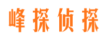 遂宁市侦探公司